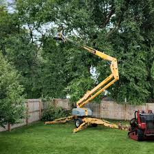 Best Utility Line Clearance  in Mckee City, NJ